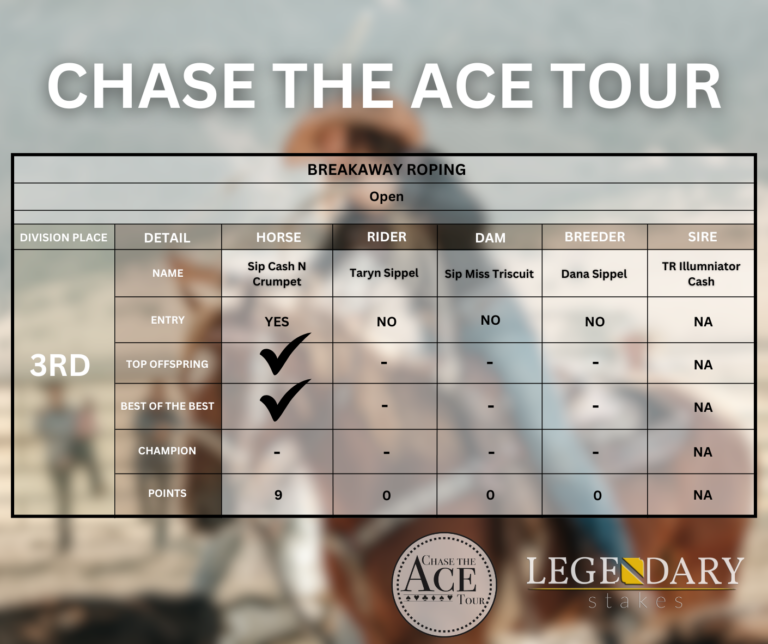 Chase The Ace Tour 2024 Open Breakaway Roping Results