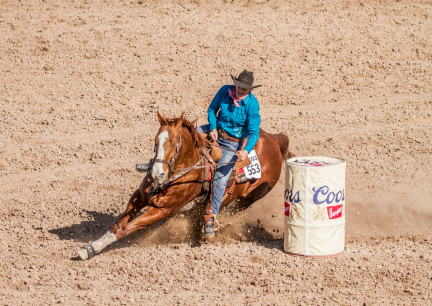 western performance enthusiasts