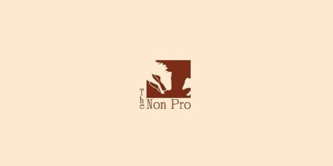 Non-Pro-logo The Non Pro Logo