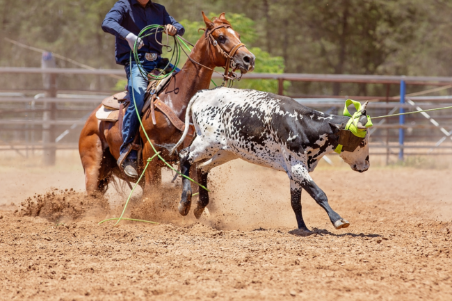 USTRC Muddy River Classic USTRC Muddy River Classic