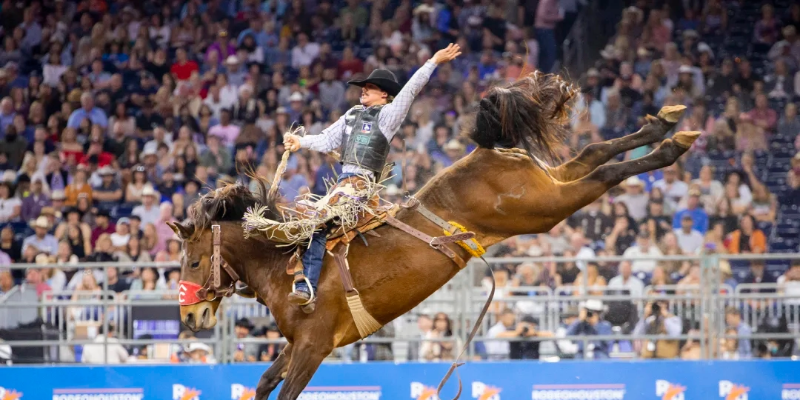 Houston Livestock Show & Rodeo