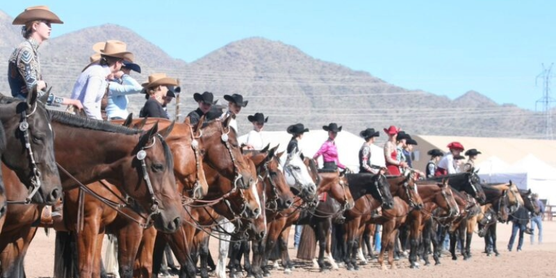 52nd Annual Arizona Sun Circuit Quarter Horse Show