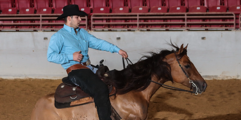 FRHA Florida Reining Classic