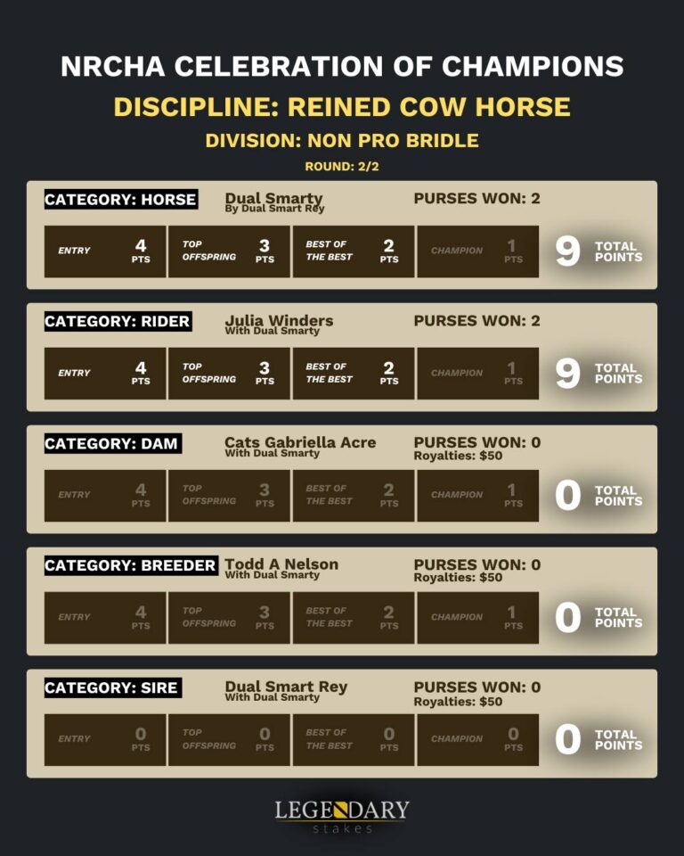 NRCHA Celebration Champs 2025 NonPro Bridle