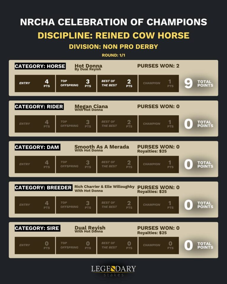 NRCHA Celebration Champs 2025 NonPro Derby