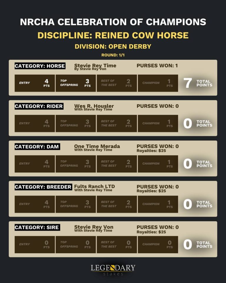 NRCHA Celebration Champs 2025 Open Derby 2/2