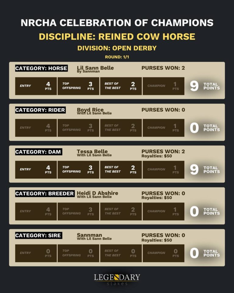 NRCHA Celebration Champs 2025 Open Derby 1/2