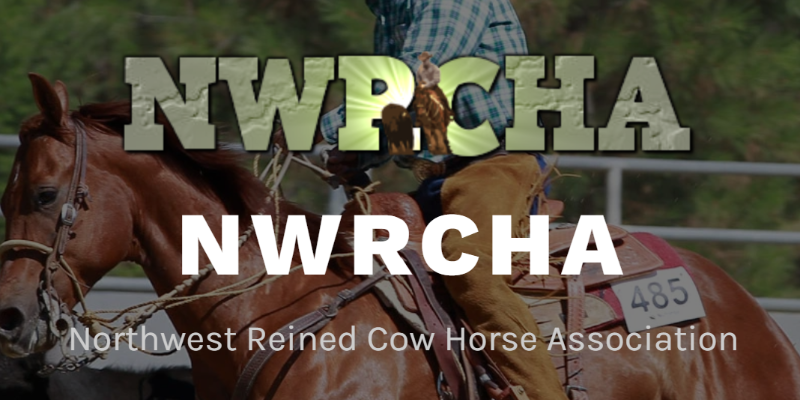 Chill Chaser Cow Horse Show