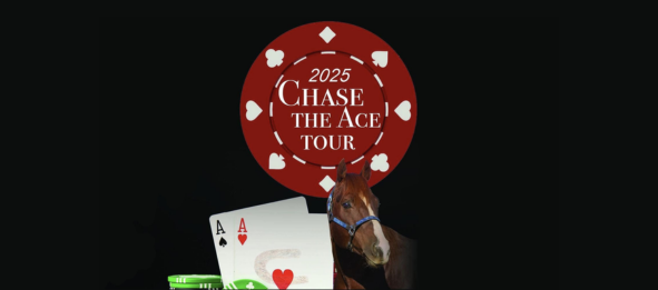 Chase The Ace Tour Chase The Ace Tour