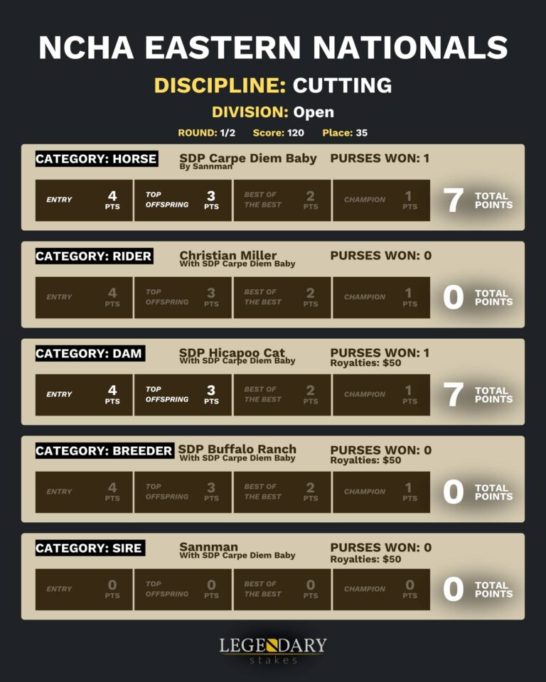 NCHA Eastern Nationals 2025 Cutting Open 2