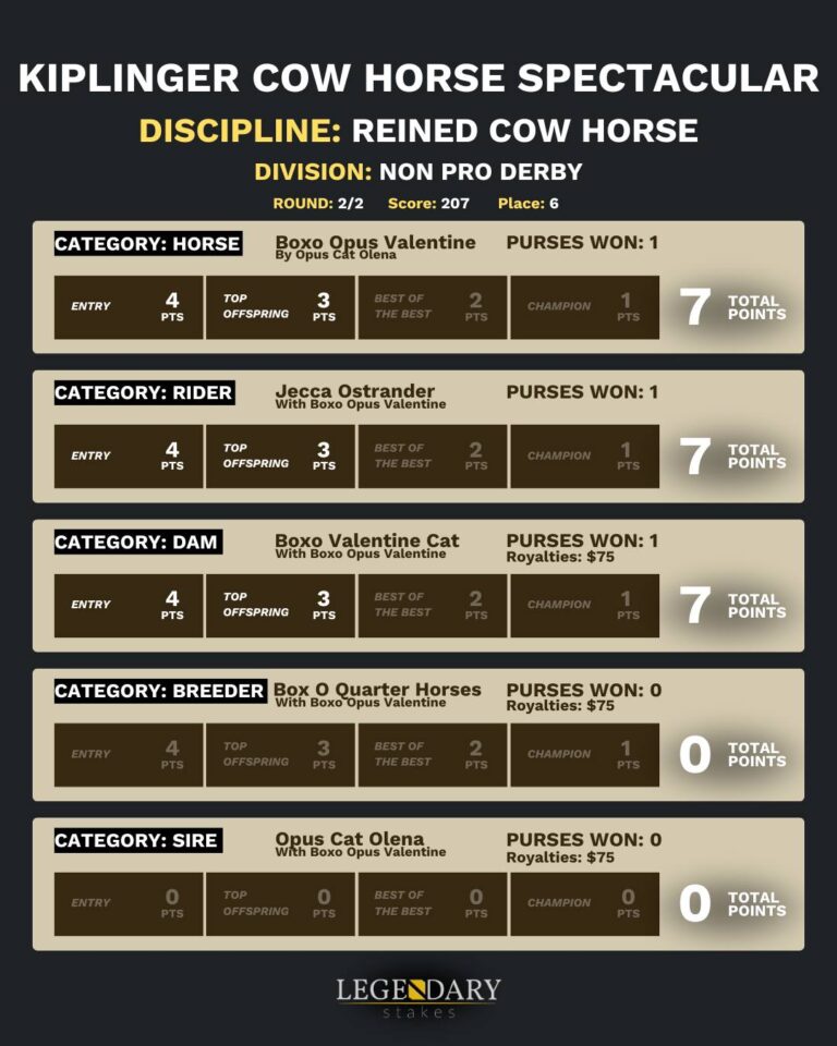 Kiplinger Spectacular Reined Cow Horse Non Pro Derby 2