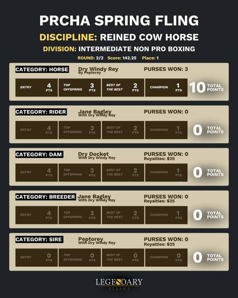 PRCHA Spring Fling 2025 Reined Cow Horse Intermediate Non-Pro Boxing