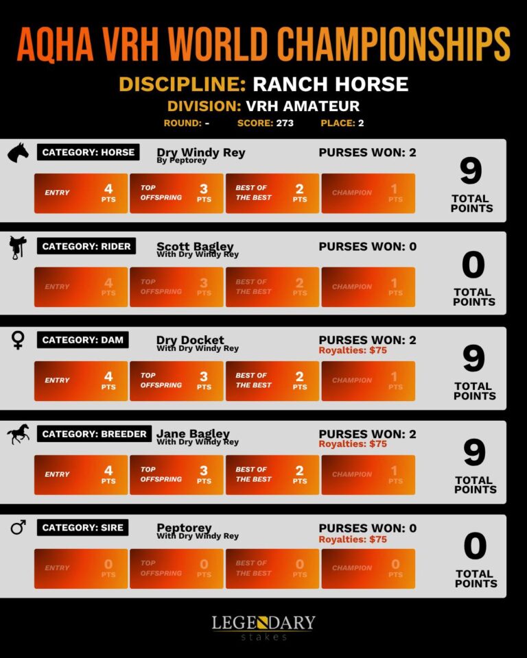 AQHA VRH World Champs 2025 Amateur Ranch Horse