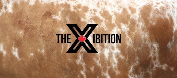 The Xibition