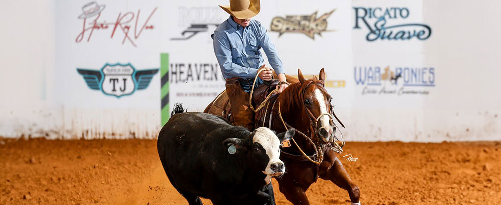 Eric Stevenson Reined Cow Horse Leader