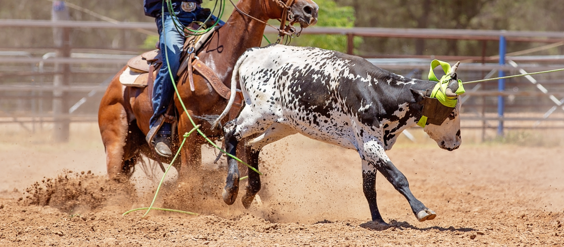 USTRC Muddy River Classic