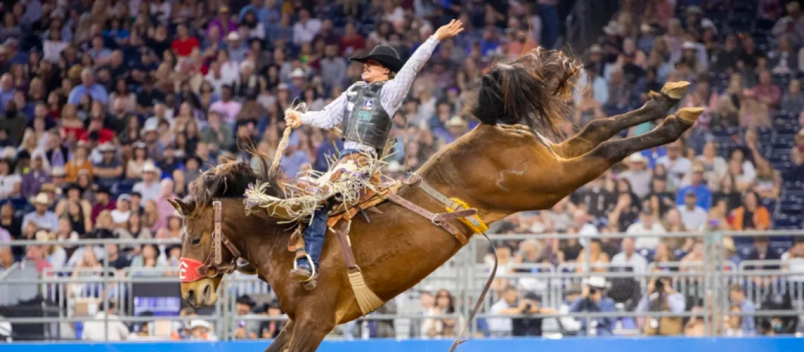 Houston Livestock Show & Rodeo