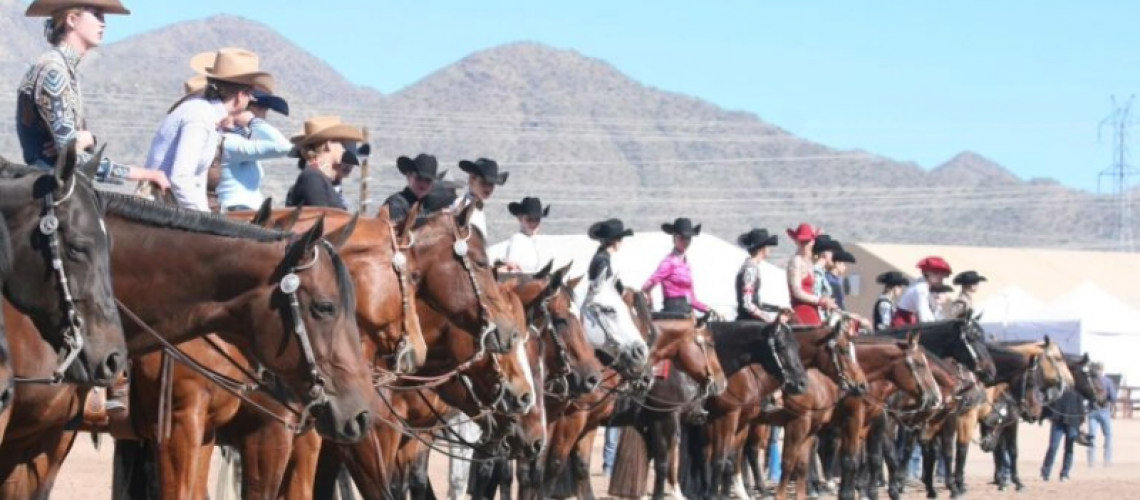52nd Annual Arizona Sun Circuit Quarter Horse Show