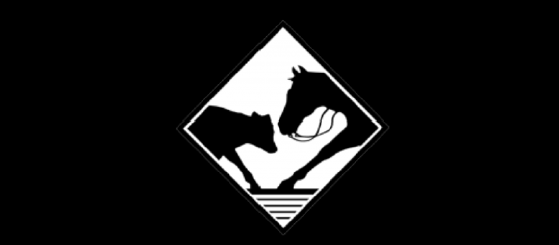 PCCHA Trainers Gold Club Roundup