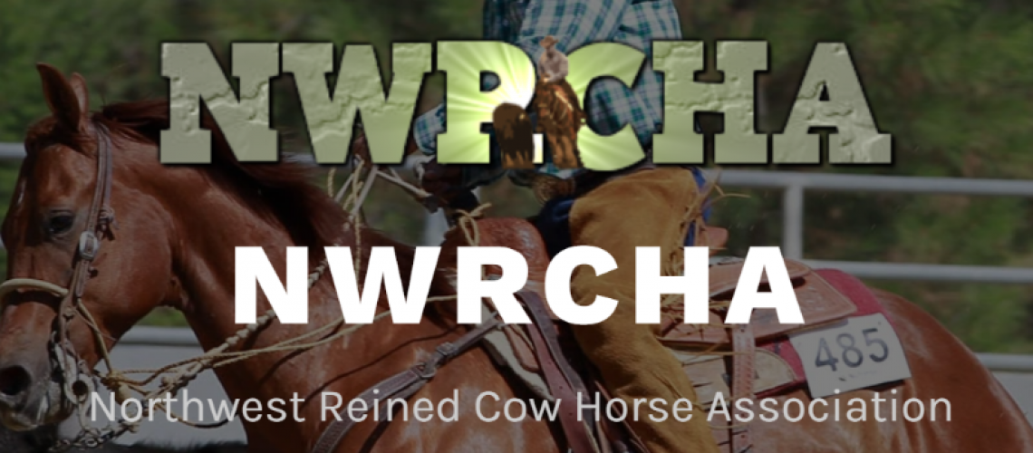 Chill Chaser Cow Horse Show