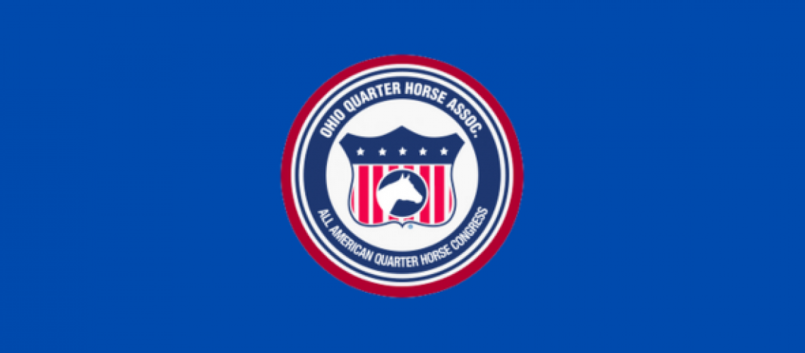 all American Quarter Horse Congress Horse